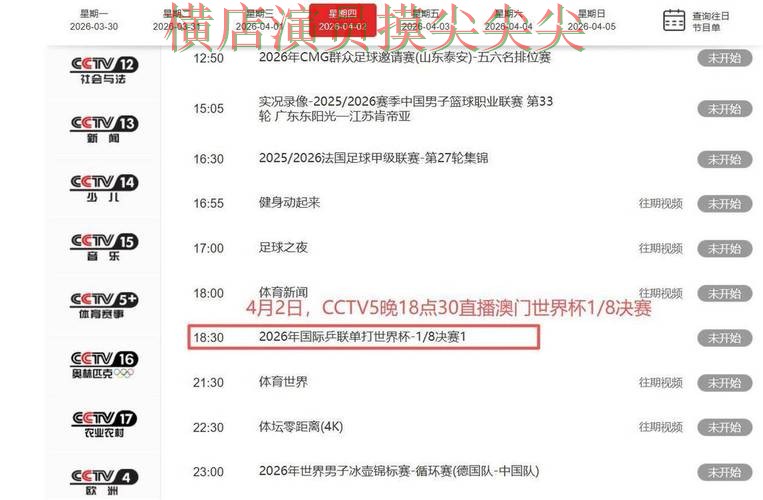 世界杯投注平台整理：聚焦速度测试与赛事直播体验 - 世界杯实时直播